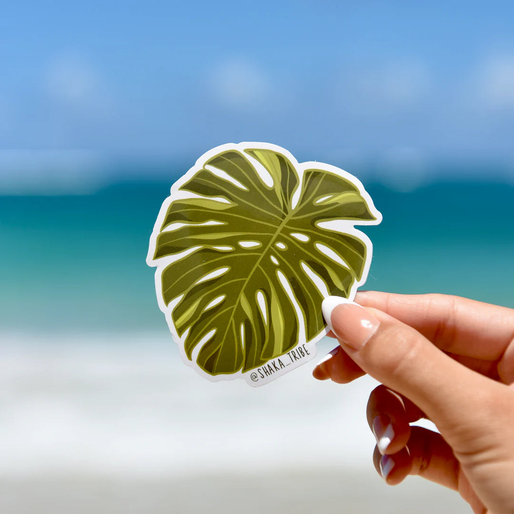 Focus - Monstera Leaf Sticker